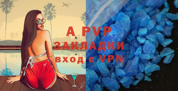 шишки Балахна
