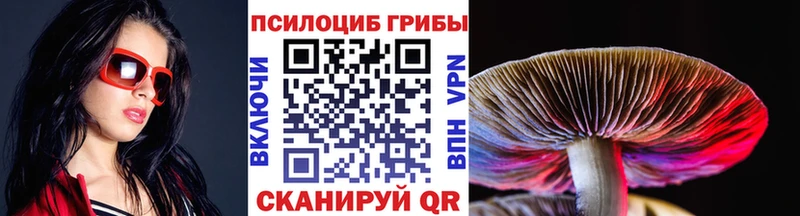 закладка  Нестеров  Галлюциногенные грибы мухоморы 